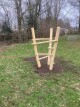 Klauterboom