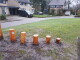 stapstammen